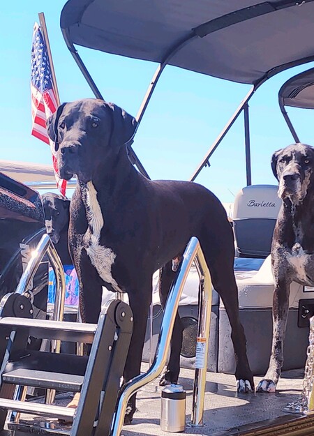 Duke & Merylee