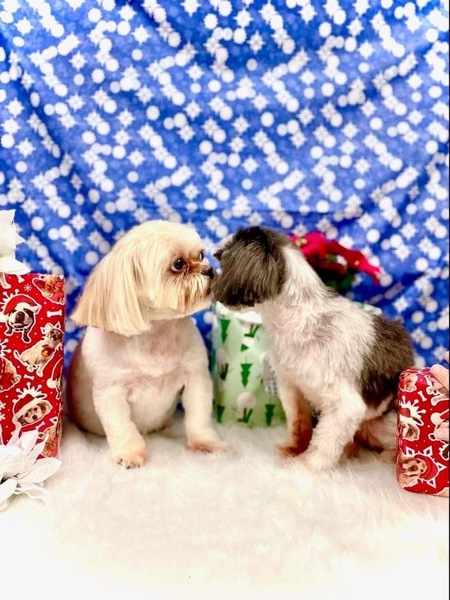 Entry image for Zoe and Keisha. Clicking this image will show a larger photo