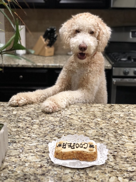 Cooper