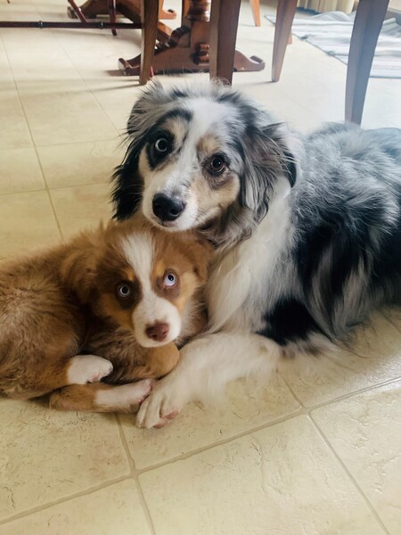 Desi and Tio