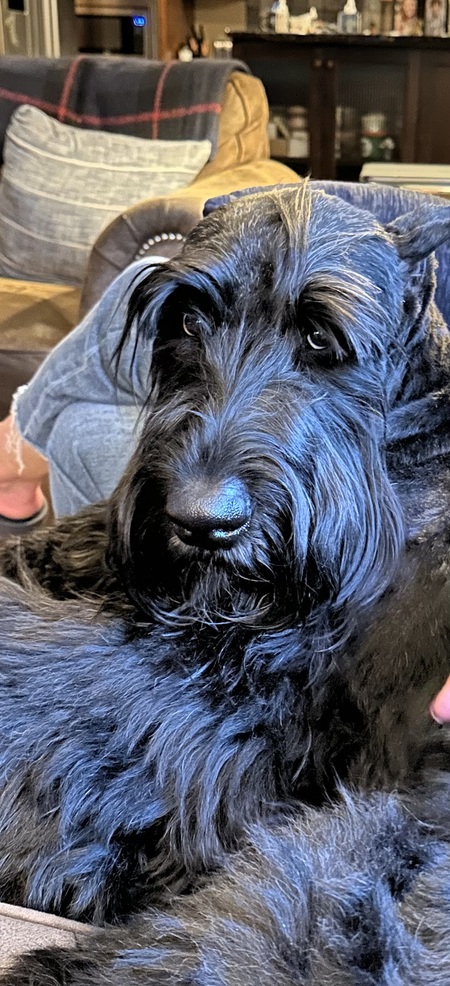 Nash 