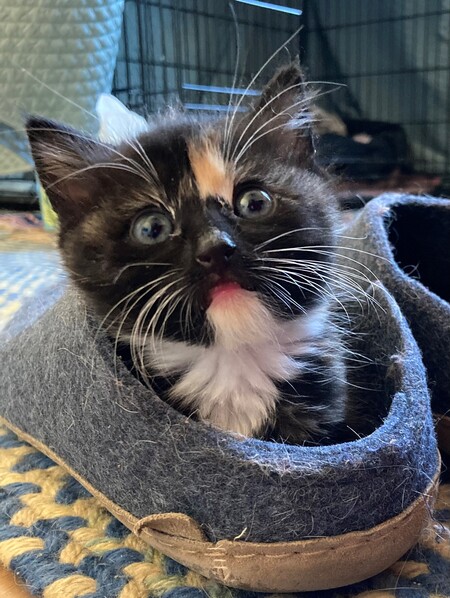 Margot