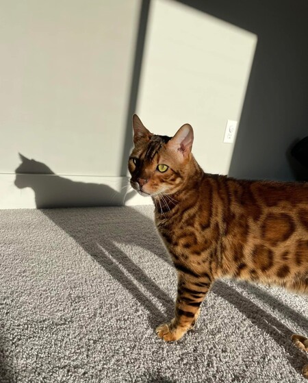 Oliver
