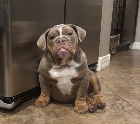 Rosco Costco