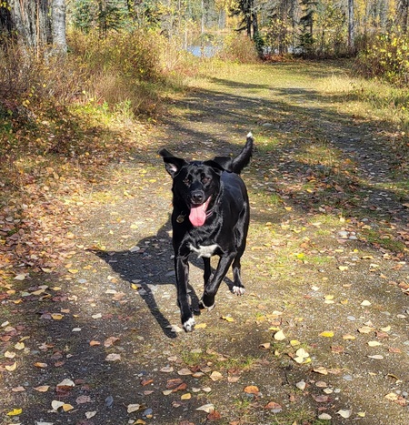 Luna