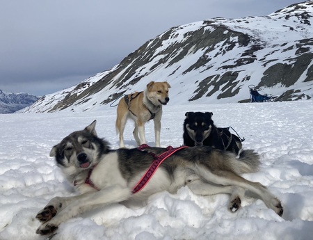 Kevin, Ophelia, Dusky 