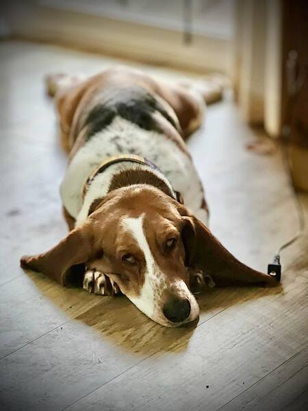 Tilly 
