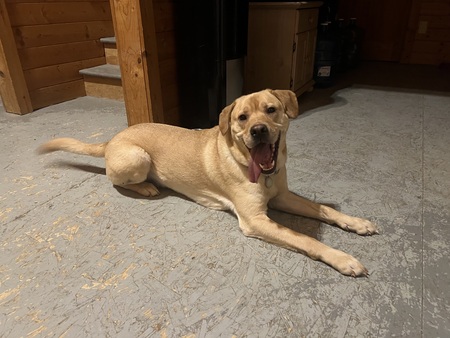 Tucker
