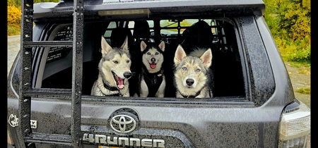 Biskis, Nikita, Maya