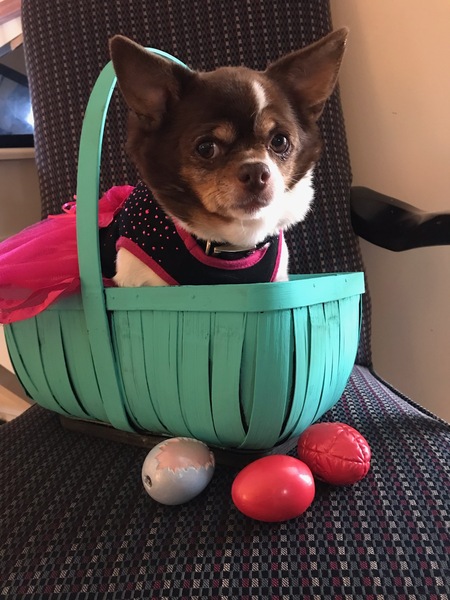Penny