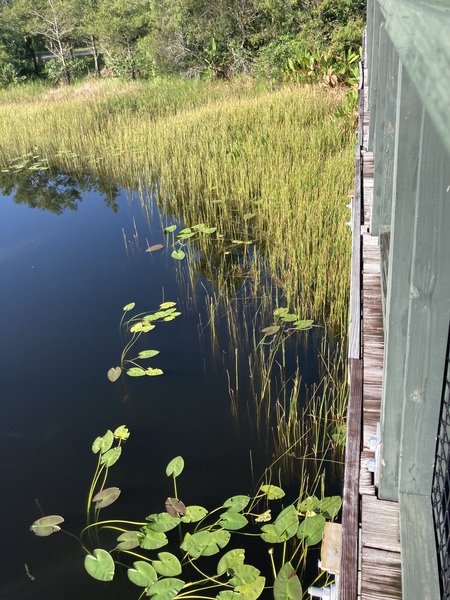From the Deck
