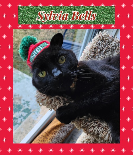 Sylvia Bells (FKA Jingle)