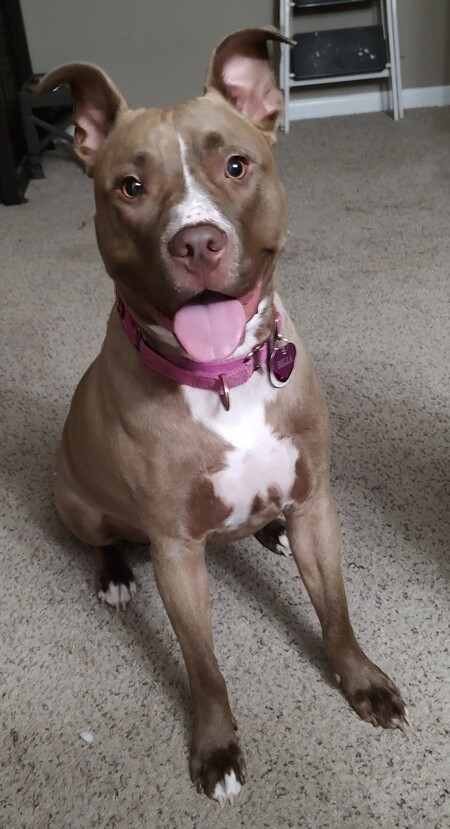 Bella