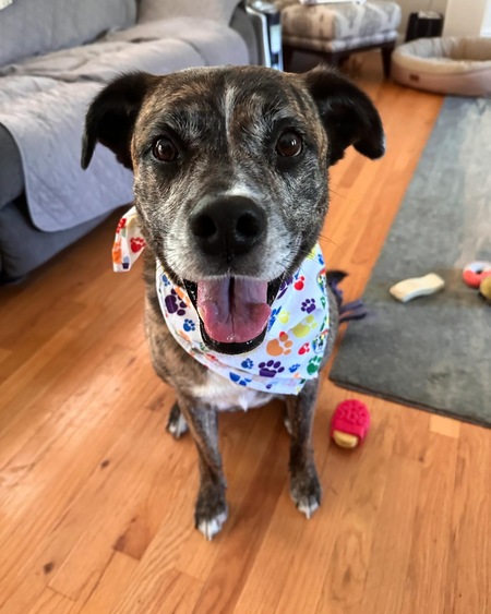 Nala