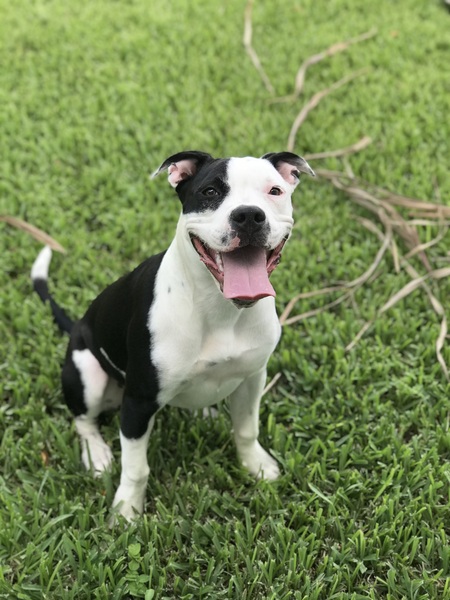 Mia