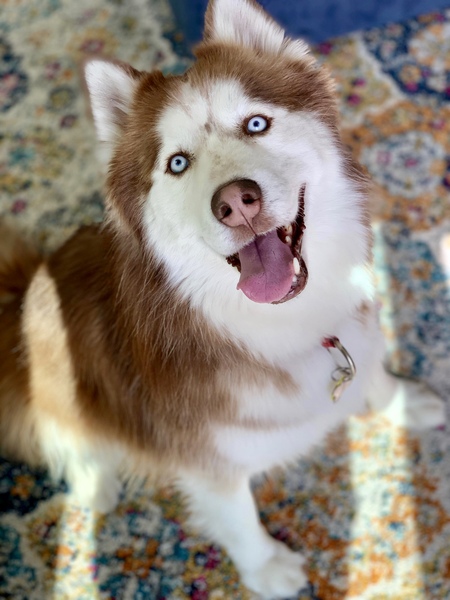 Beau