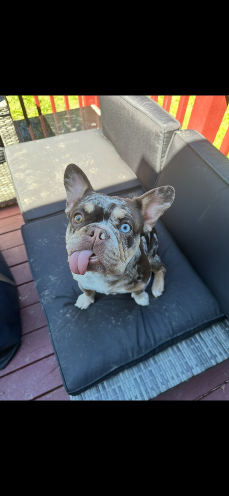 Coco