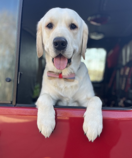 Captain