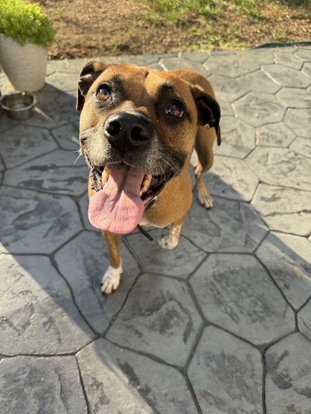 Zoe