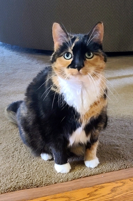 Patches