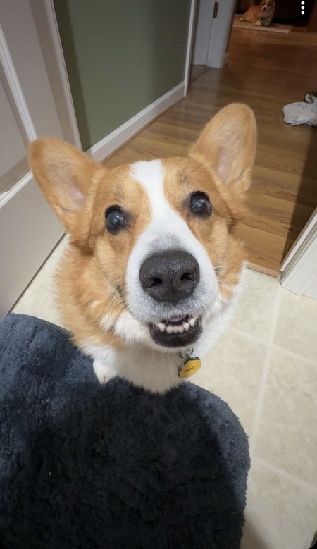 Mac