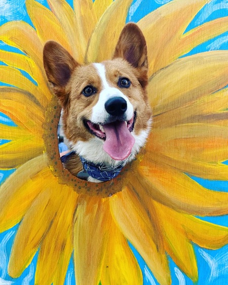 Winston