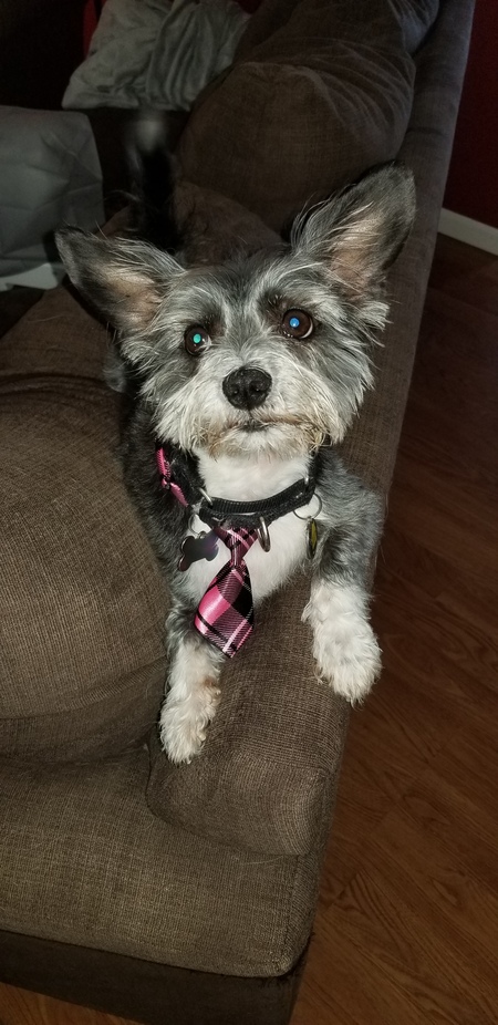 RASCAL