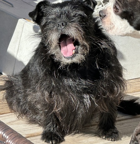 Maggie