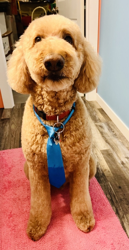 Murphy