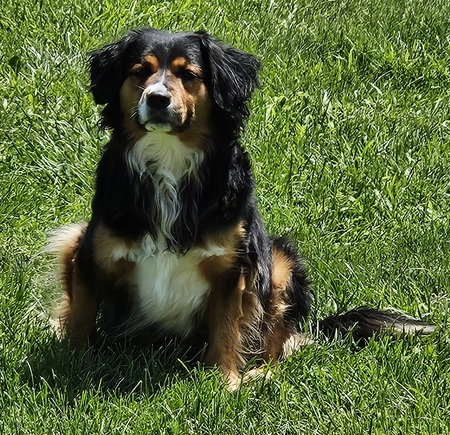 Ruger