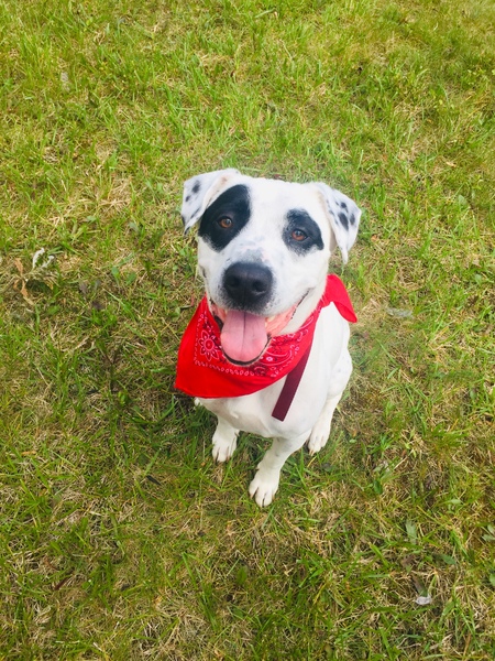 Jax 