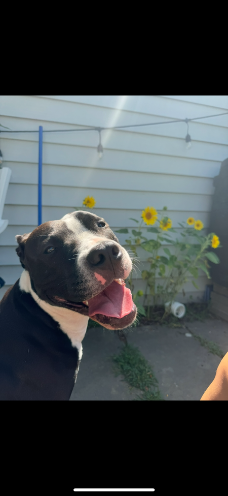 Zeus 