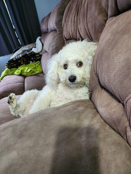 Stanley