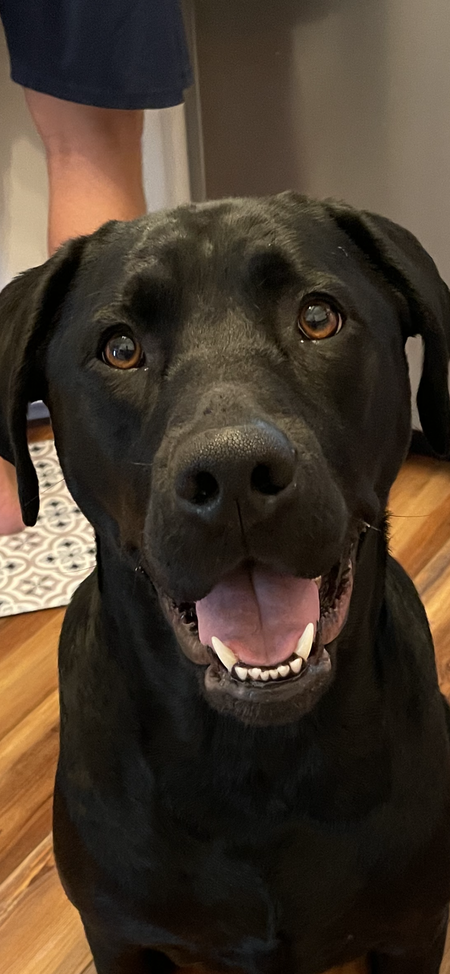 Oakley