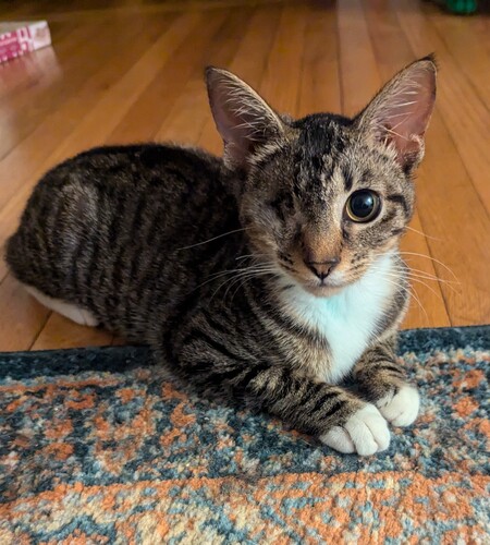 Rosie