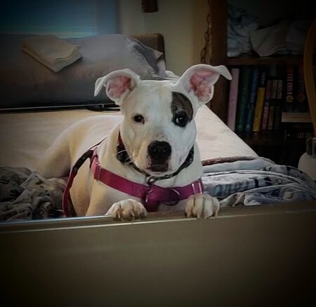 Zada Barton