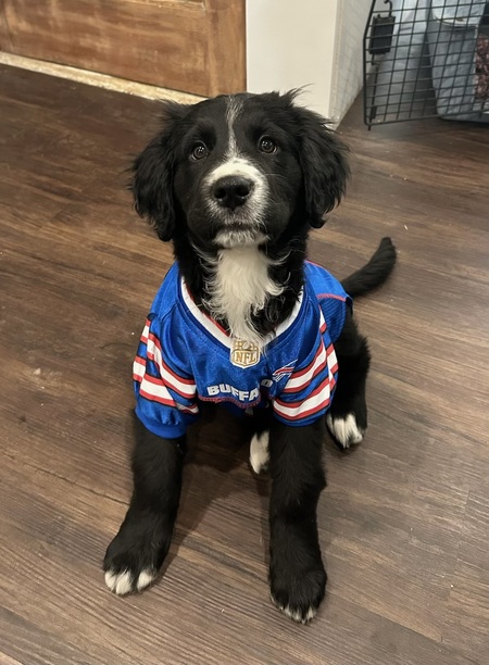 Marley