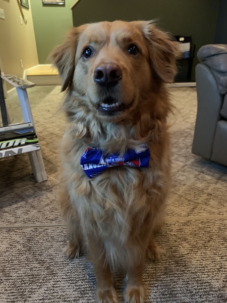 Chief