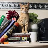 Entry image for My name is "get down"