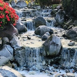 Entry image for Waterfall 