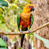 Entry image for In the forest