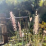 Entry image for The details