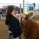 Entry image for I believe in the future of FFA