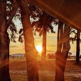 Entry image for Shining Light