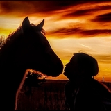 Entry image for The love for Horses 