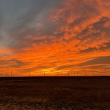 Entry image for Something in the Orange