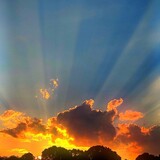 Entry image for Golden Rays