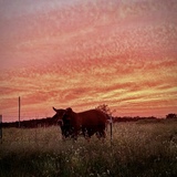 Entry image for Serenity in Nature