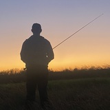 Entry image for Something in the Orange