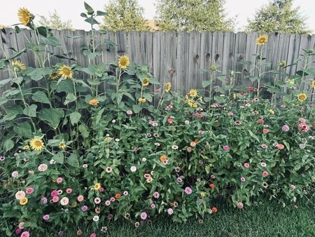Entry image for Nature's Fireworks. Clicking this image will show a larger photo